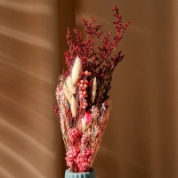 Букет из сухоцветов &laquo;Притяжение&raquo;, 52 &times; 12 &times; 8 см