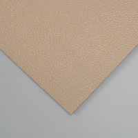 Лист для творчества иск.кожа "Личи. Перламутр" розовое золото лист 33х20 см толщина 0,9 мм 1047143 Лист для творчества иск.кожа "Личи. Перламутр" розовое золото лист 33х20 см толщина 0,9 мм 1047143