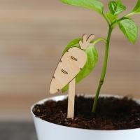 Таблички садовые для маркировки, 12 см, набор 8 шт., дерево, «Морковь», Greengo Таблички садовые для маркировки, 12 см, набор 8 шт., дерево, «Морковь», Greengo