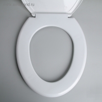 Сиденье для унитаза с крышкой Росспласт &laquo;Лотос&raquo;, 45 х 37 см, цвет белый