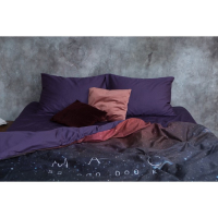 Постельное бельё "Этель" 1.5 сп Red planet 143*215см, 160*240 см, 50*70 см - 2 шт Постельное бельё "Этель" 1.5 сп Red planet 143*215см, 160*240 см, 50*70 см - 2 шт