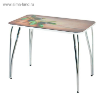 Стол прямоуголный с фп Оливковая ветвь, 1000х600х757, стекло/чайка хром