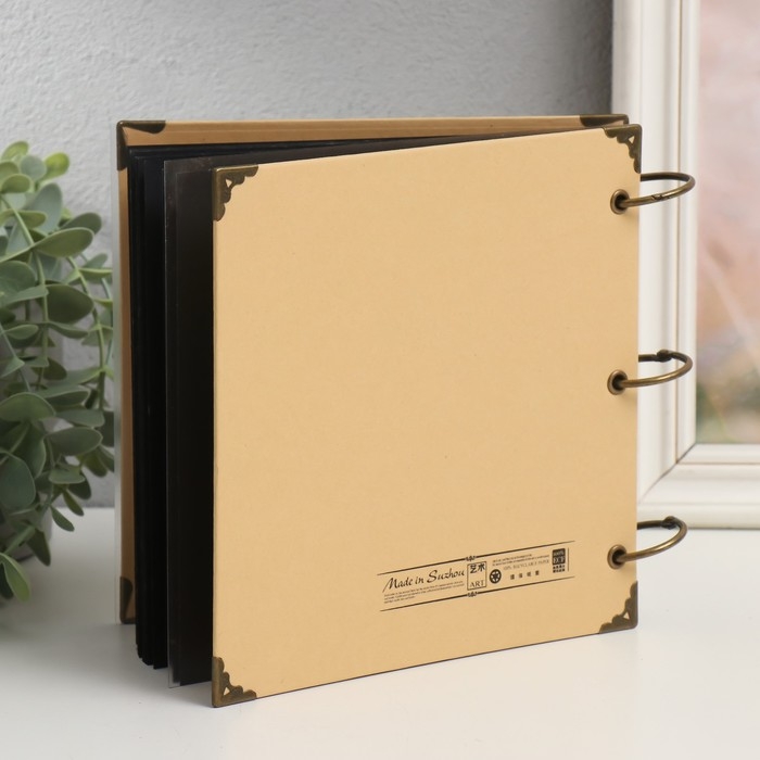 Фотоальбом на кольцах 30 листов Фотоальбом на кольцах 30 листов "Модницы с котенком" чёрные листы 18х18 см