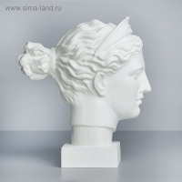 Гипсовая фигура Голова Дианы, 20 х 34 х 37 см Гипсовая фигура Голова Дианы, 20 х 34 х 37 см