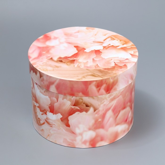 Набор шляпных коробок 3 в 1, упаковка подарочная, «Бежевый», 18 х 18 х 13‒25 х 25 х 15 см Набор шляпных коробок 3 в 1, упаковка подарочная, «Бежевый», 18 х 18 х 13‒25 х 25 х 15 см