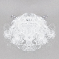 Карнавальная борода &laquo;Дед Мороз&raquo;, 20 г, 23 см