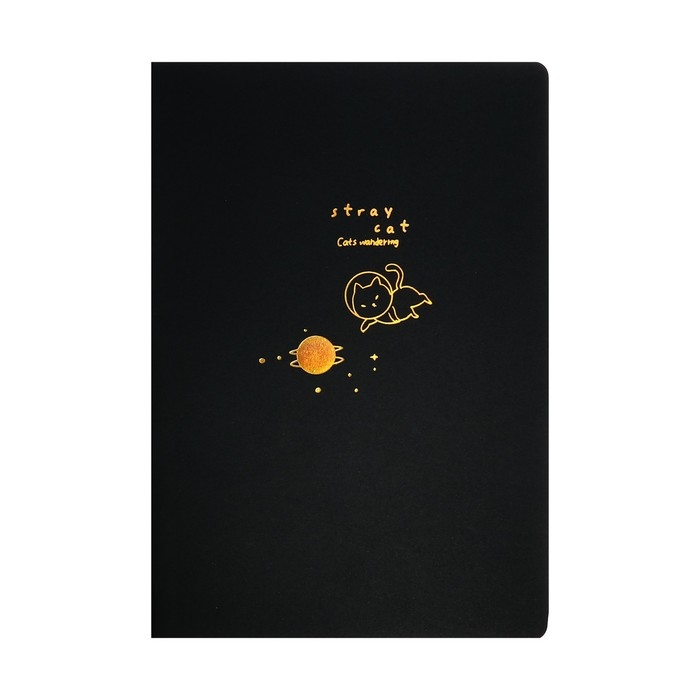 Скетчбук А5, 24 черных листа, "Кот космонавт", плотность 110 гр., МИКС