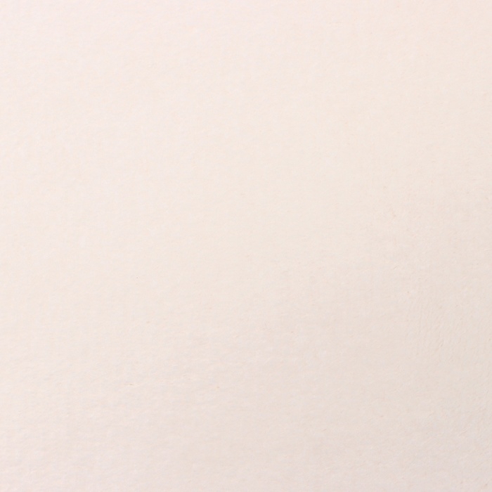 Плед Этель цв.молочный 180*200 см,100% п/э, корал-флис 220 гр/м2