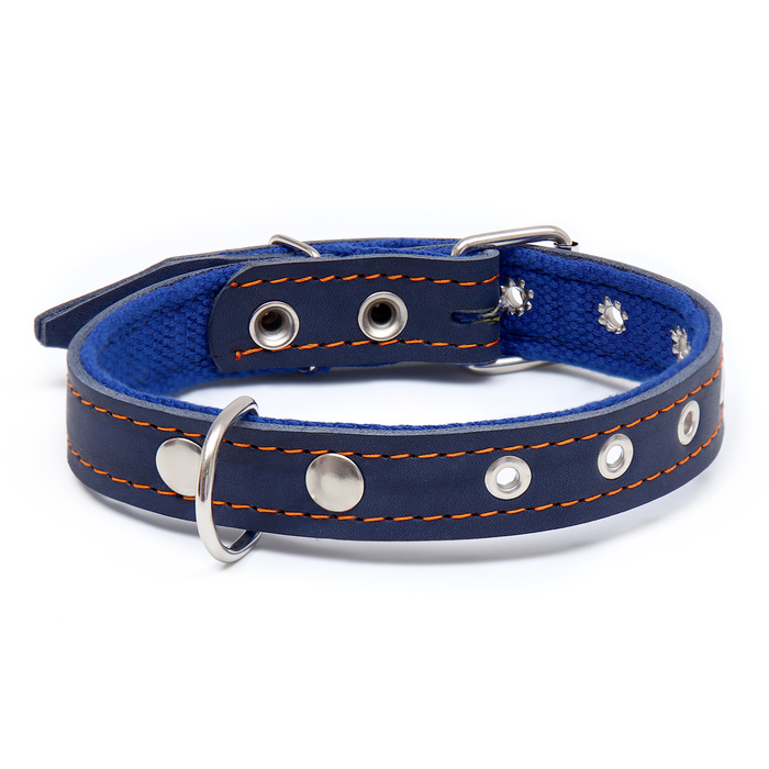 Ошейник комбинированный кожа/брезент, безразмерный, 56 х 2,5 см, ОШ 25-51 см, синий