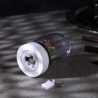 Светодиодная фигура под куполом &laquo;Дом и ёлка&raquo; 6&times; 9.5 &times; 6 см, дерево, батарейки LR1130х3 ( в комплекте), свечение тёплое белое