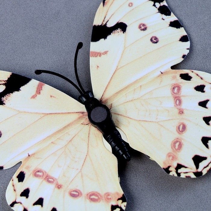 Набор для украшения &laquo;Бабочки&raquo;, 12 шт, с чёрными вставками, цвет белый