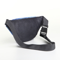 Сумка поясная детская на молнии, цвет синий Сумка поясная детская на молнии, цвет синий