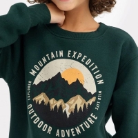 Свитшот для мальчика, НАЧЁС, цвет пихта, рост 98-104 см Свитшот для мальчика, НАЧЁС, цвет пихта, рост 98-104 см