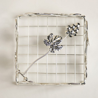 Салфетница &laquo;Виноград&raquo;, декоративная, 13,5&times;13,5&times;7 см, цвет серебряный