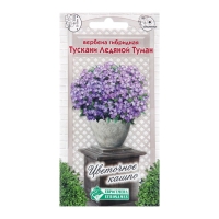 Семена цветов Вербена гибридная "Тускани Ледяной Туман", 10 шт Семена цветов Вербена гибридная "Тускани Ледяной Туман", 10 шт