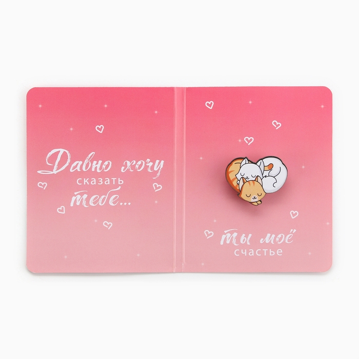 Значок на открытке &laquo;Котики&raquo;, 10 х 8 см