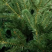 Искусственная ель Ms.Tree, 180 см Искусственная ель Ms.Tree, 180 см