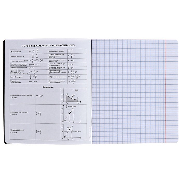 Тетрадь предметная ФИЗИКА, 48 листов в клетку, ErichKrause Inscription, обложка мелованный картон, твин-лак, блок офсет 100% белизна, инфо-блок