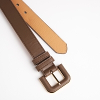 Ремень женский, ширина 3 см, винт, пряжка со вставкой, цвет коричневый Ремень женский, ширина 3 см, винт, пряжка со вставкой, цвет коричневый