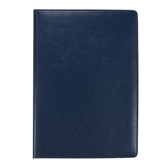 Ежедневник недатированный А4, 136 листов Sidney Nebraska, твёрдая обложка, искусственная кожа, золотой срез, ляссе, синий