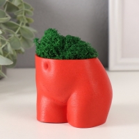Предмет интерьера "Невинный вид" высота 7см, ширина 8,5см красный со мхом (мох зелен. стаб 1041209 Предмет интерьера "Невинный вид" высота 7см, ширина 8,5см красный со мхом (мох зелен. стаб 1041209