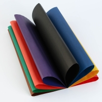 Набор &laquo;1 сентября:Для отличной учёбы&raquo;, цветной картон 8 листов, 8 цветов, плотность 220 г/м односторонний, цветная бумага 8 листов, 8 цветов, двухсторонний, формат А4