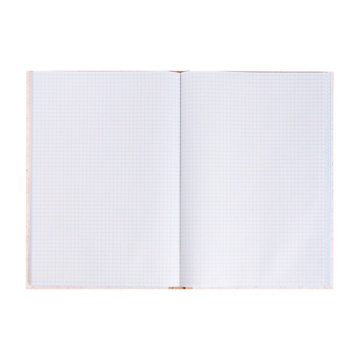 Книга учета, 96 листов, обложка картон 7Б, блок ГАЗЕТНЫЙ, клетка, имитация КРАФТА Книга учета, 96 листов, обложка картон 7Б, блок ГАЗЕТНЫЙ, клетка, имитация КРАФТА