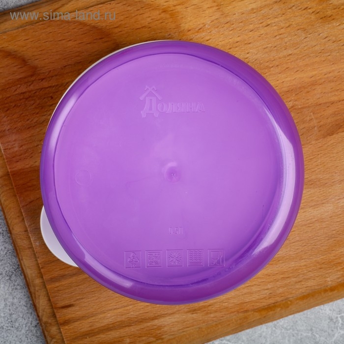 Ланч-бокс &laquo;Кошечка&raquo;, 500 мл