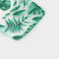 Набор пакетов для хранения сыпучих продуктов Доляна &laquo;Листья&raquo;, застёжка zip-lock, 3 шт, 15&times;10 см, 20&times;13 см, 24,5&times;16,5 см, цвет зелёный