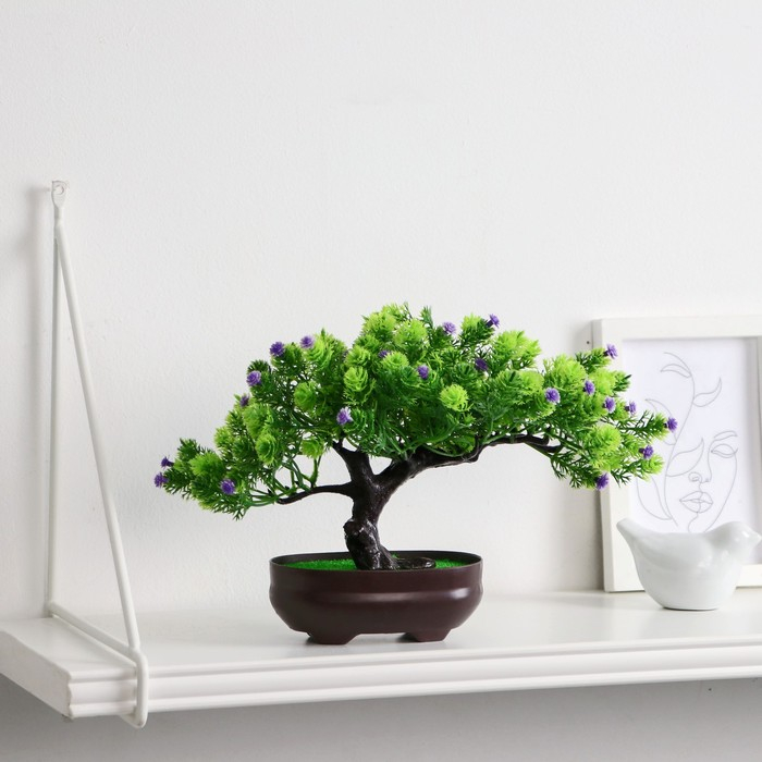 Бонсай в горшке Бонсай в горшке "Деревце изгиб" 12х17 см, микс