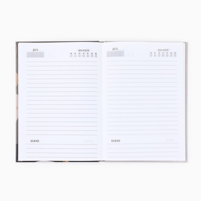 Ежедневник А5, 80 л, твердая обложка &laquo;Учителю: Для великих идей&raquo;