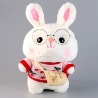 Мягкая игрушка «Зайка», в кофточке с сумочкой, 25 см, цвет МИКС Мягкая игрушка «Зайка», в кофточке с сумочкой, 25 см, цвет МИКС