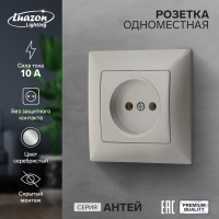 Розетка одноместная Luazon Lighting "Антей", 10 А, скрытая, без з/к, серебристая Розетка одноместная Luazon Lighting "Антей", 10 А, скрытая, без з/к, серебристая