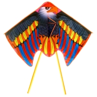 Воздушный змей «Орёл» Воздушный змей «Орёл»