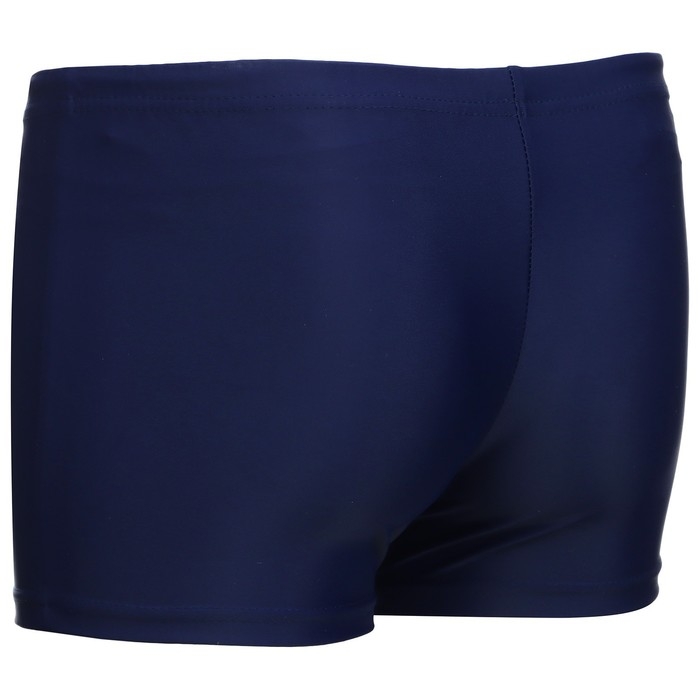 Плавки для плавания ONLYTOP, р. 46, цвет синий Плавки для плавания ONLYTOP, р. 46, цвет синий