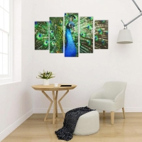 Картина модульная на подрамнике "Павлин"  2-25х52, 2-25х66,5,1-25х80, 80*140 см