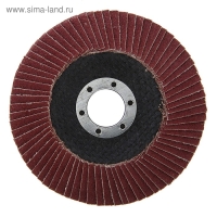 Круг лепестковый торцевой ЛОМ, 115 х 22 мм, Р100 Круг лепестковый торцевой ЛОМ, 115 х 22 мм, Р100