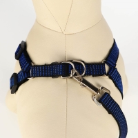 Комплект амуниции рельефный, поводок 120 х 1,5 см, ОГ 36-49 см, сине-чёрный Комплект амуниции рельефный, поводок 120 х 1,5 см, ОГ 36-49 см, сине-чёрный