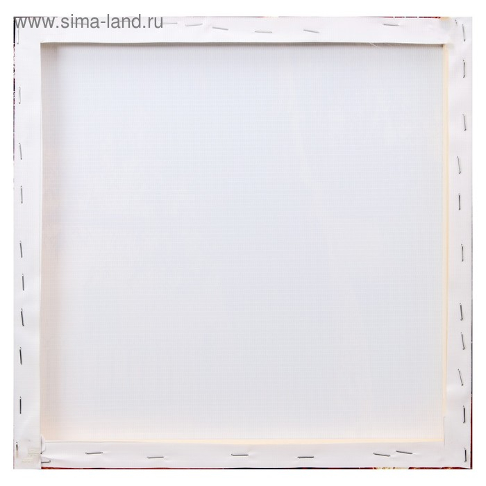 Модульная картина "Белые ромашки" (3-35х35) 35х105 см