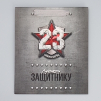 Пакет подарочный ламинированный вертикальный, упаковка, &laquo;Защитнику&raquo;, ML 23 х 27 х 11.5 см