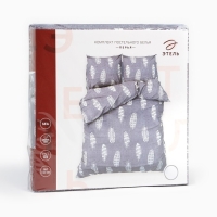 Постельное бельё Этель Евро &laquo;Перья&raquo; 200х217 см, 220х240 см, 70х70 см-2 шт, 100% хлопок, бязь125 г/м2