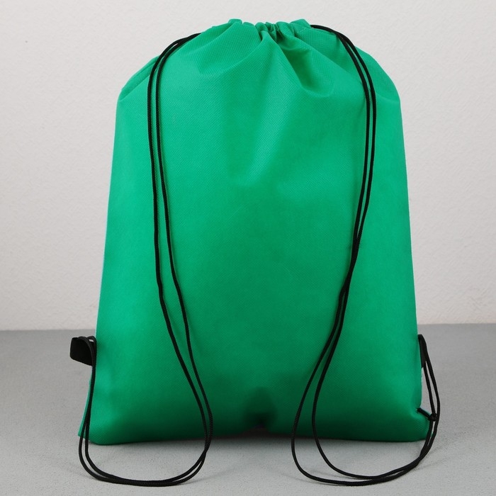 Мешок для обуви &laquo;Девочка с лисёнком&raquo; нетканное полотно, размер 30 х 40 см