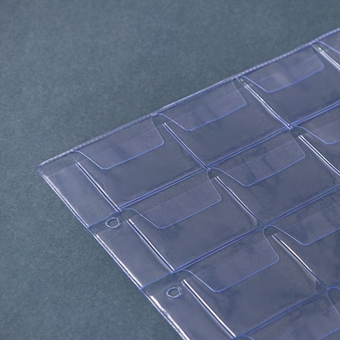 Набор листов для монет, формат "Оптима", 10 листов 200 х 250 мм, на 24 ячейки 45 х 40 мм