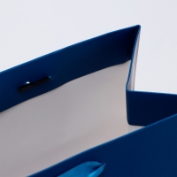 Пакет ламинированный &laquo;Синий&raquo;, MS 23 &times; 18 &times; 10 см