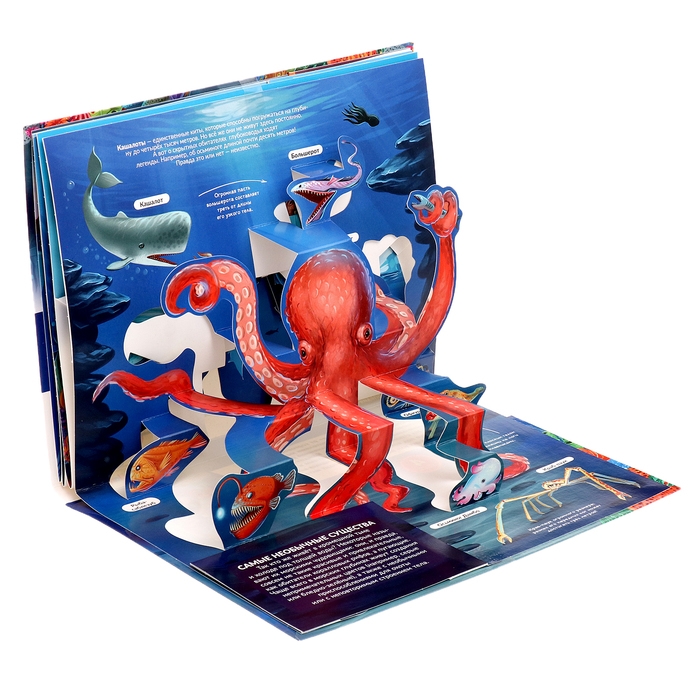 Энциклопедия-панорамка POP UP &laquo;Море&raquo;