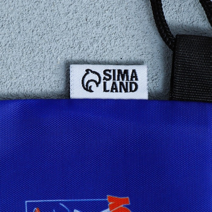 Мешок для обуви, болоньевый материал &laquo;1 сентября&raquo; цвет синий, 30 х 40 см