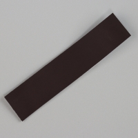 Магнит из гипса &laquo;Турбозавры. До&raquo;