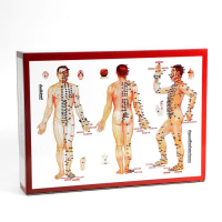 Банки акупункционного действия для вакуумного массажа с насосом, набор 32 шт. Банки акупункционного действия для вакуумного массажа с насосом, набор 32 шт.