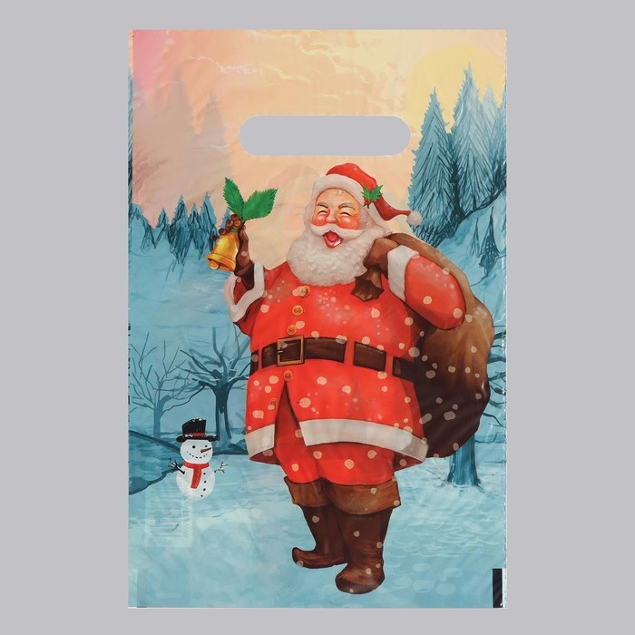 Пакет Пакет "Звуки праздника", полиэтиленовый с вырубной ручкой, 20х30 см, 30 мкм набор 20 штук