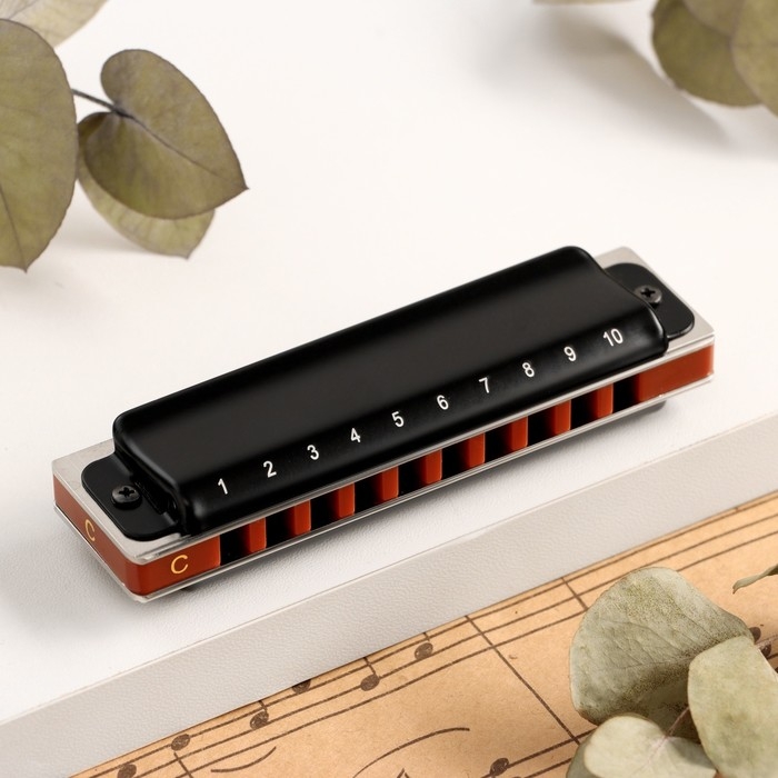 Губная гармошка Music Life T008L  C диатоническая, 10 отверстий, с футляром